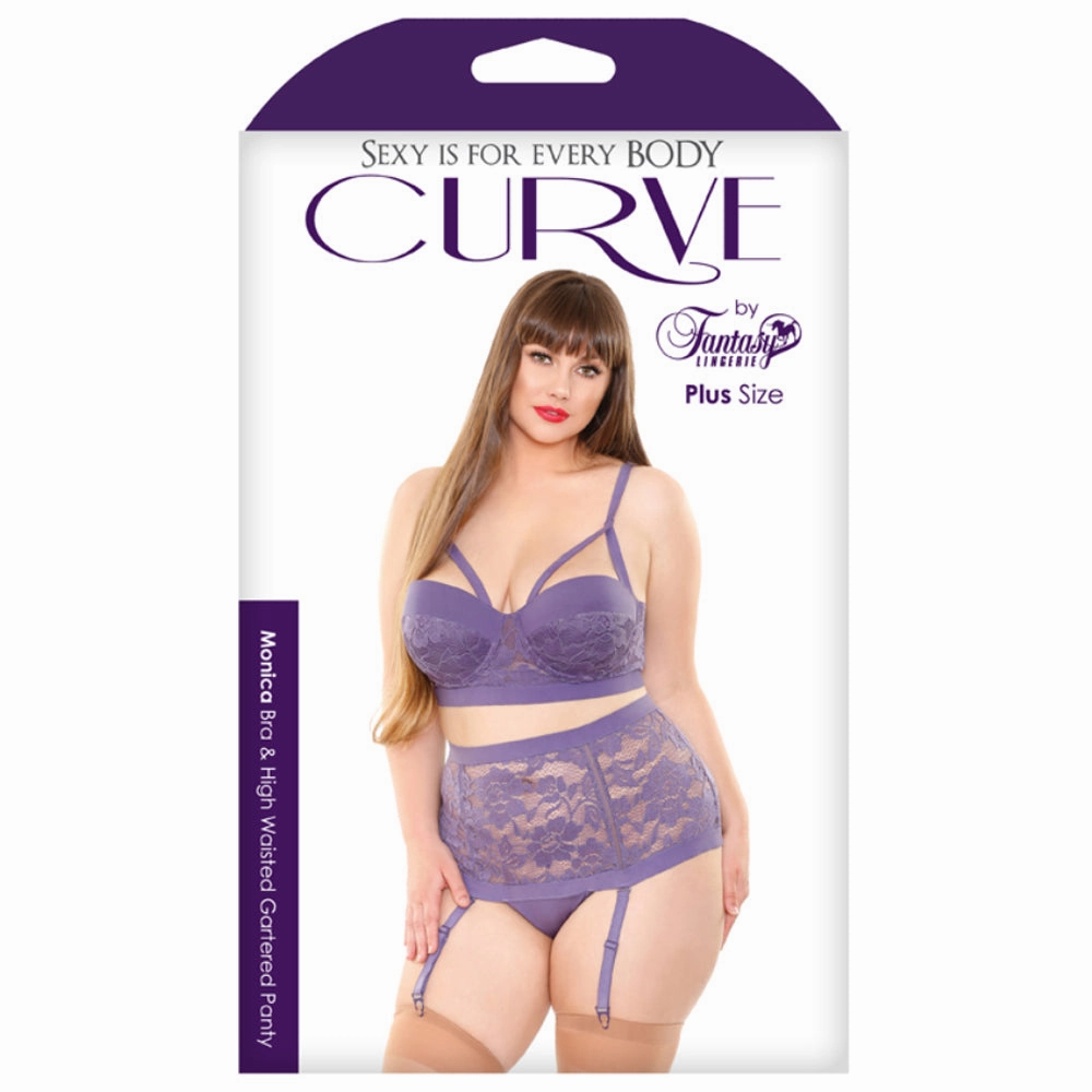 Fantasy Lingerie Curve - Monica Bra & High Waisted Gartered Panty Set