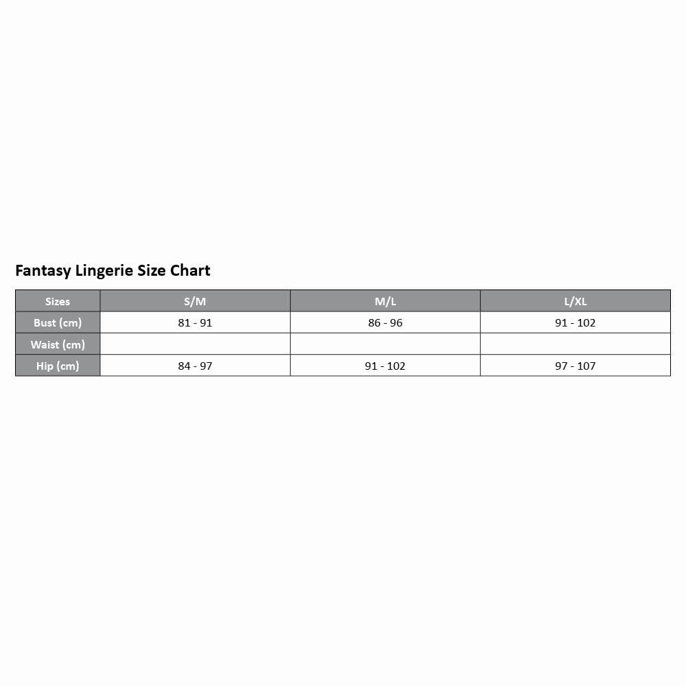 Fantasy Lingerie Paige Sheer Lace Underwire Chemise & Panty