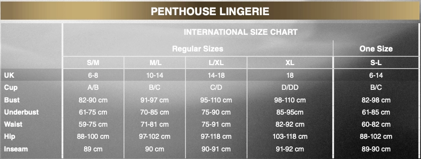 Penthouse - Turned On Cupless Playsuit Costume