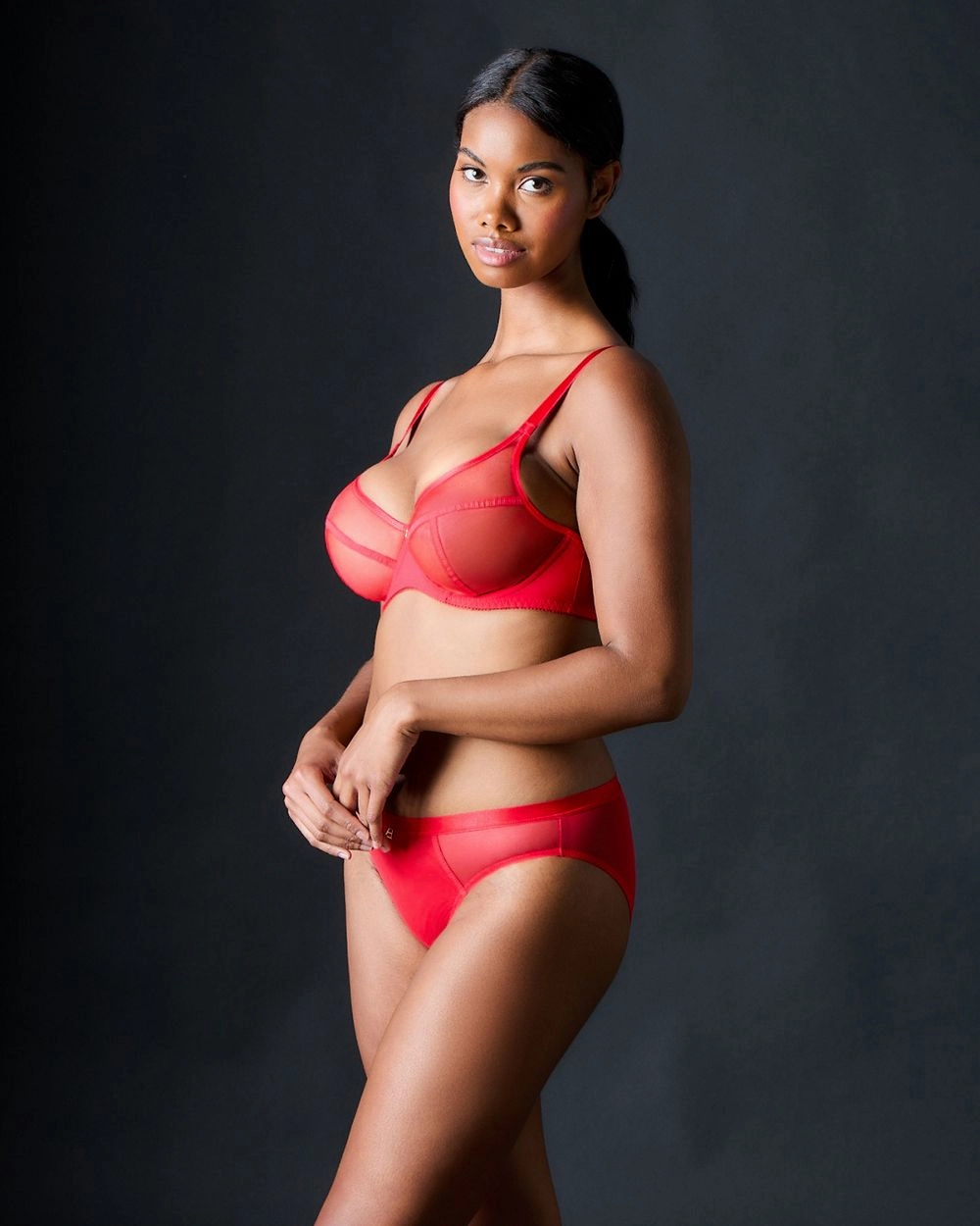 Snapshot Brief