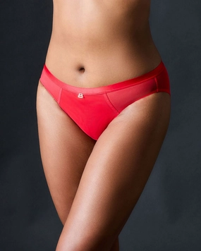 Snapshot Brief