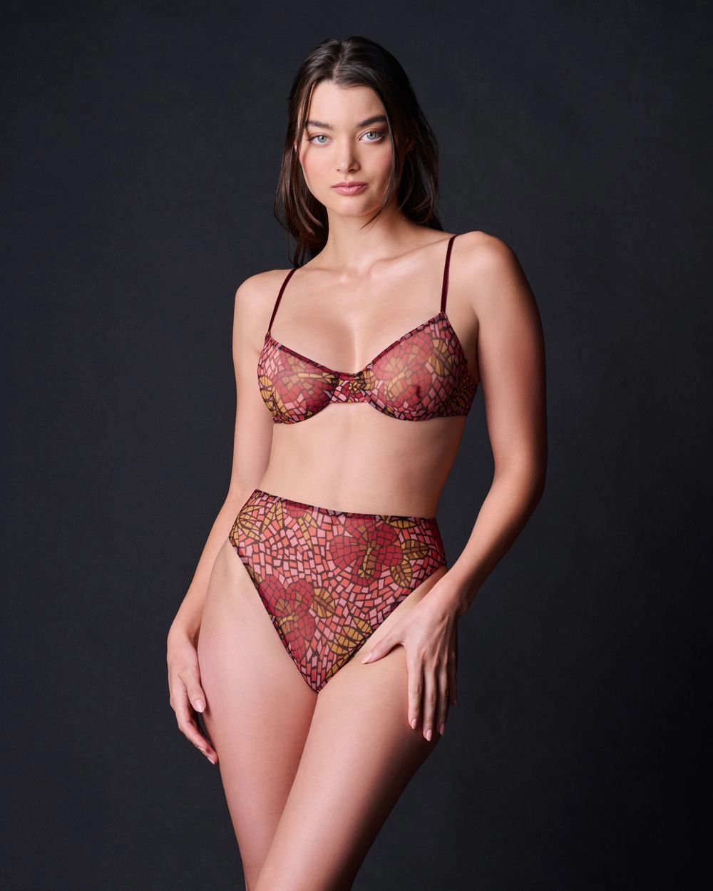 Stained Glass High Cut Brief