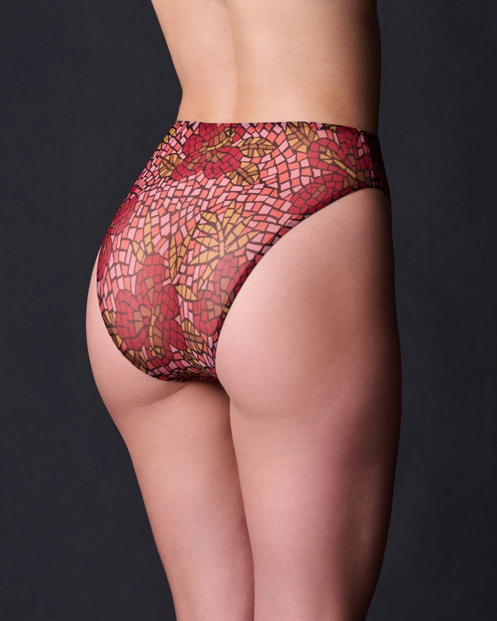 Stained Glass High Cut Brief