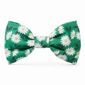 The Foggy Dog Comin Up Daisies Green Dog Bowtie
