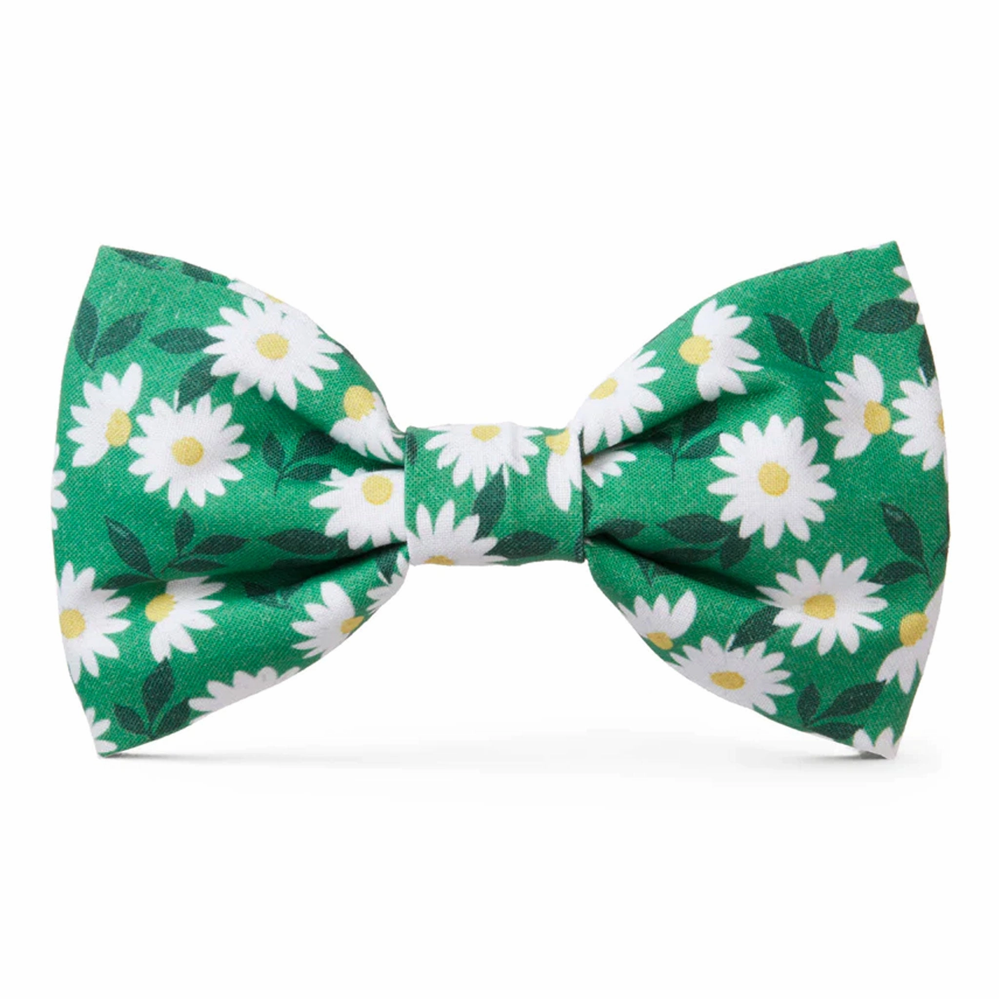The Foggy Dog Comin Up Daisies Green Dog Bowtie